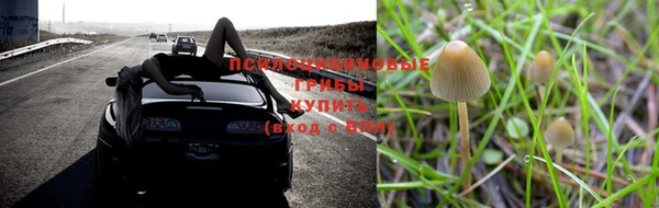 mdma Бородино