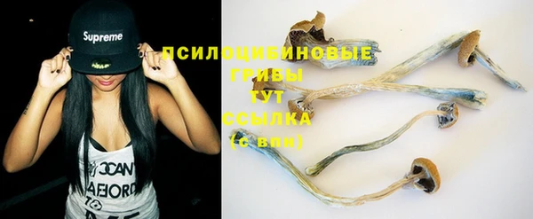 герыч Бронницы