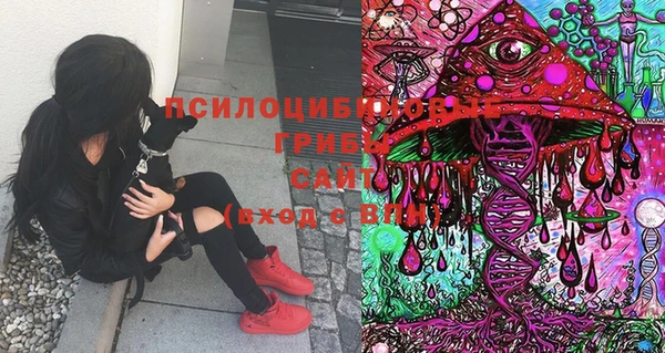 mdma Бородино