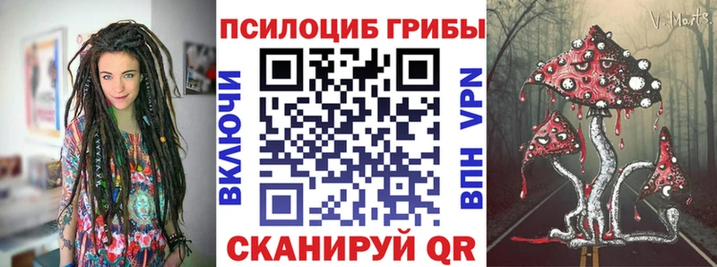гидра зеркало Ильский Галлюциногенные грибы MAGIC MUSHROOMS